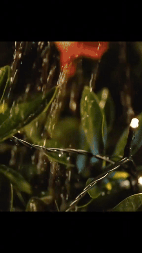 LUCES LED DECORATIVA CON PANEL SOLAR 25 M - DORADO